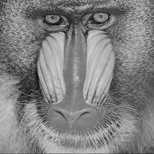 Baboon_channe_N3_M12_1_3_7_Z1.png